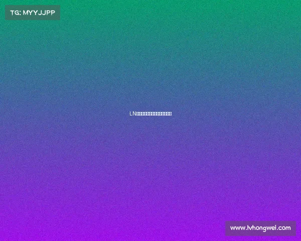 LN荣耀征程：全新篇章，竞逐巅峰